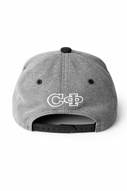 NULL SNAPBACK